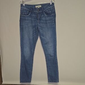 Chic Blue Skinny Jeans